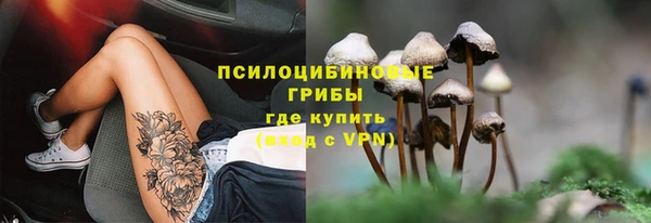 MESCALINE Белокуриха