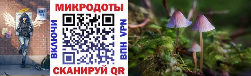 сколько стоит  Голицыно  Галлюциногенные грибы Psilocybe 